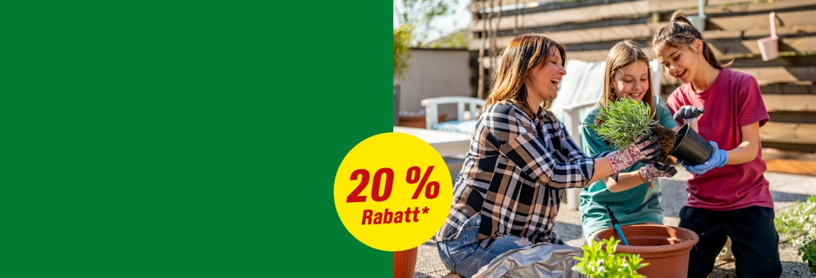 Eine Person und zwei Kinder pflanzen gemeinsam eine Pflanze im Garten.